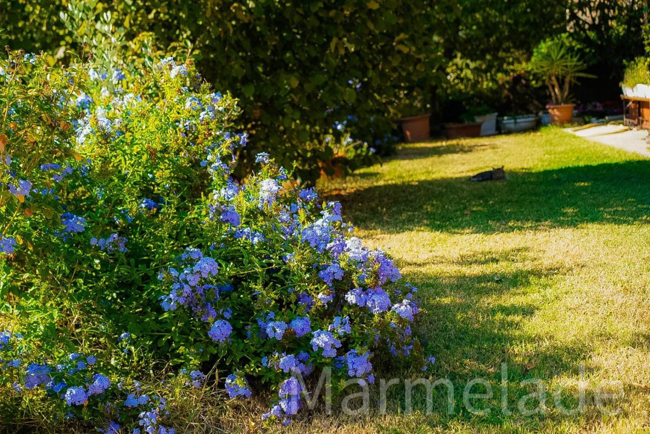 Marmelade Villa Zagarolo Exterior foto